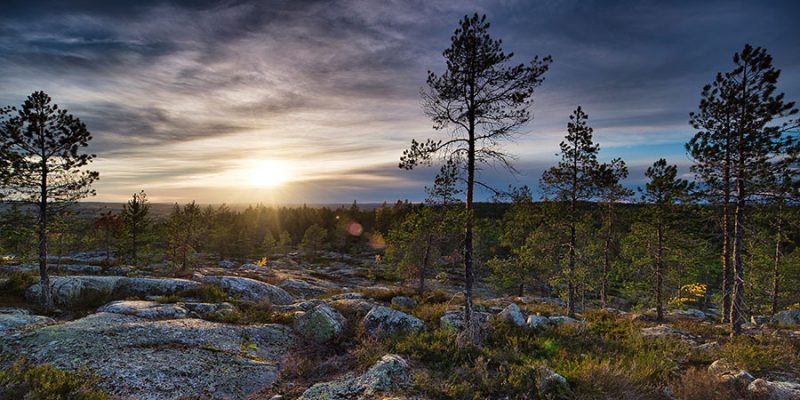 Norrland-landschap
