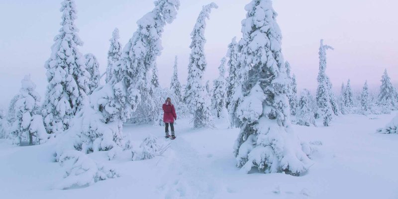 Landschap met dikke pakken sneeuw in Lapland Zweden