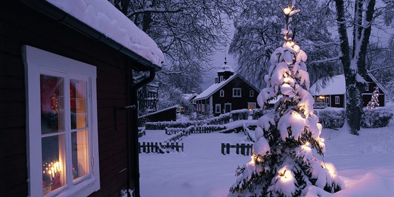 Kerstboom-in-Zweden-in-de-winter