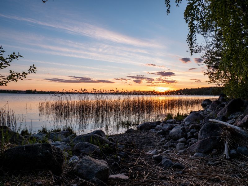 Wildkamperen-in-Zweden-zonsondergang