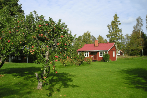 Roodkleurig vakantiehuisje in Zweden