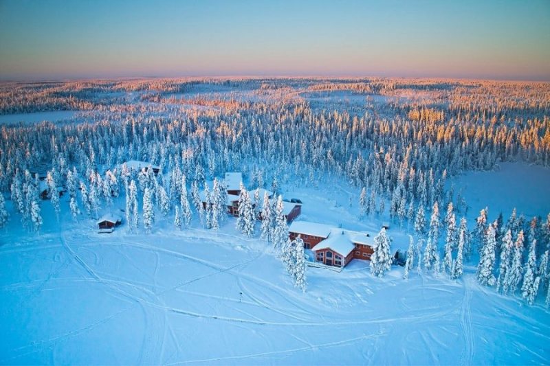 wit sneeuwtapijt rondom de Pinetree Lodge in Zweeds Lapland
