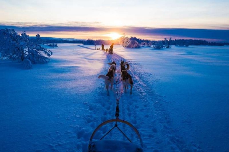 Lapland meerdaagse huskytocht met Nordic