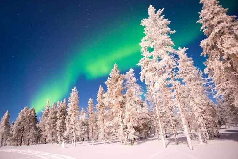Noorderlicht boven de besneeuwde boomtoppen in Fins Lapland met Nordic