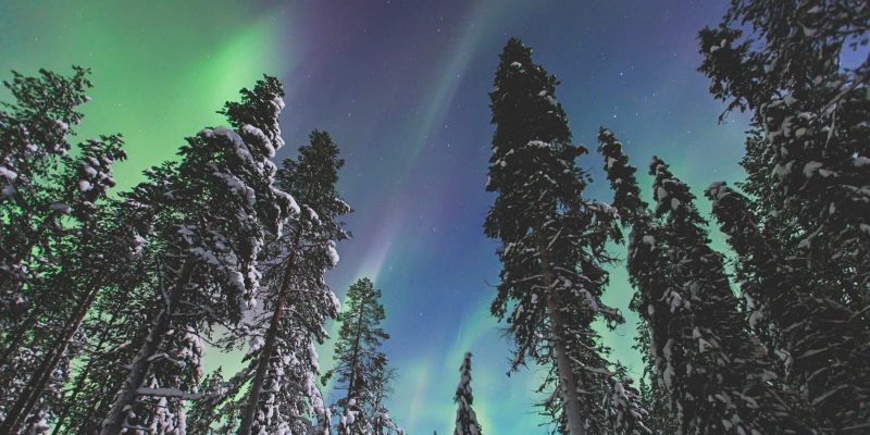 Reis naar Lapland noorderlicht met Nordic Nederland