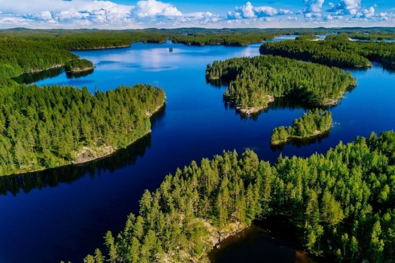 Verken-de-vele-bossen-op-gezinsvakantie-naar-Finland-met-Nordic-800x533