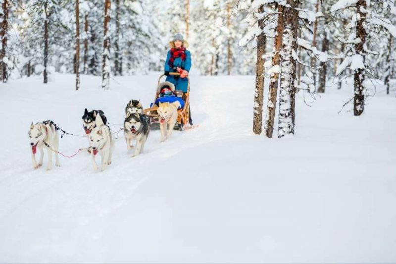 Huskytocht in Winters Lapland reizen met Nordic