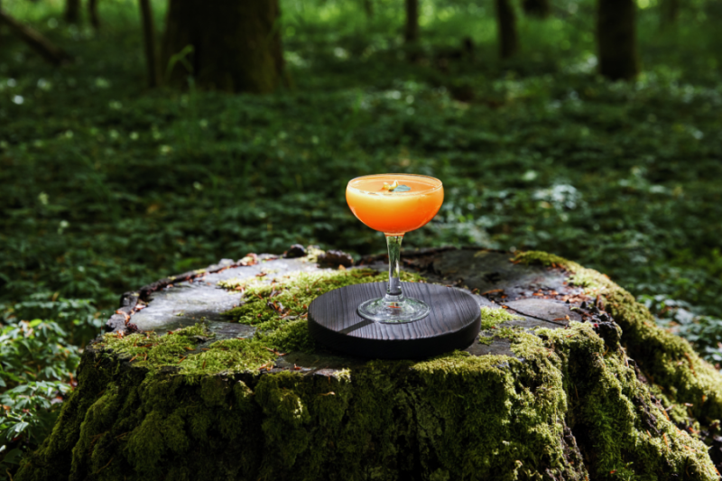 Cocktail in de natuur Zweden