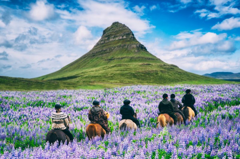 Paardrijden-op-IJsland-in-groep-met-Nordic-800x533