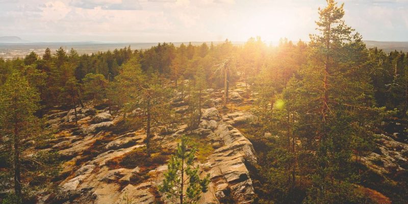 Uitzicht over het landschap in Lapland in de zomer