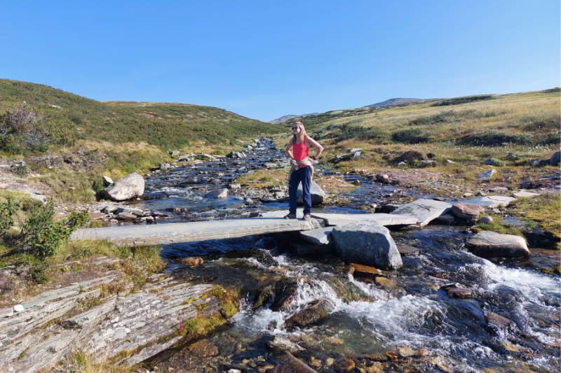 Brug over riviertje in Rondane Nationaal Park