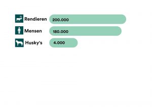 Infographic husky's en rendieren